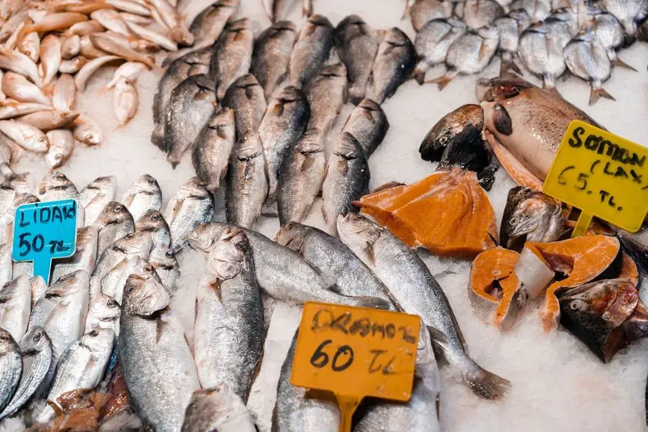 #10 - Fish and Shellfish Powered a Genetic Leap (Image Credits: Pexels)