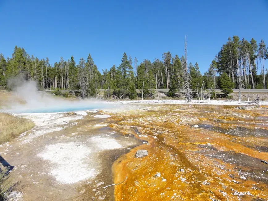 Conclusion: What Extreme Life Teaches Us About Life Itself (Image Credits: Pexels)