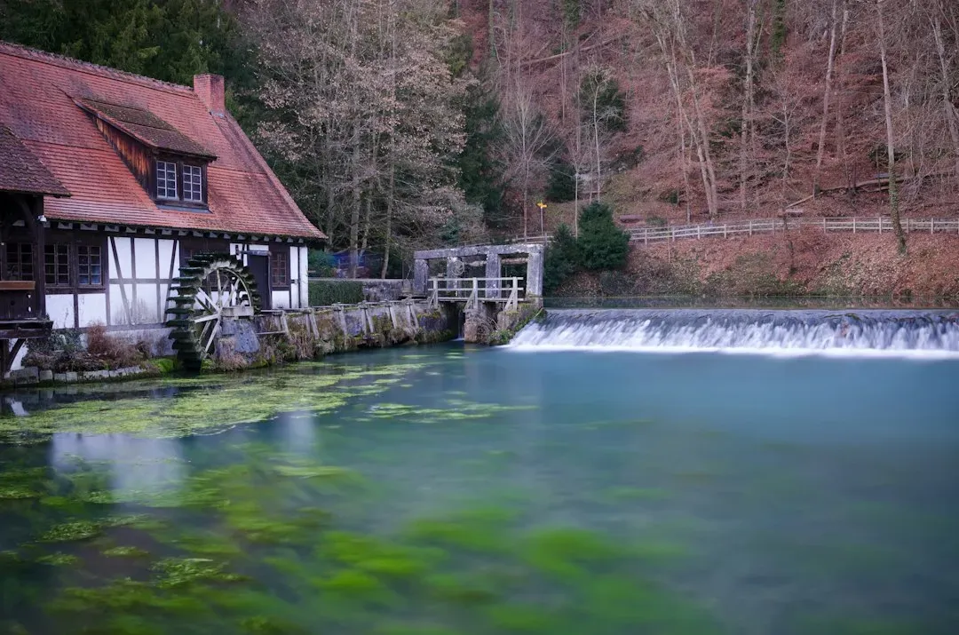 #8 Self-Regulating Springs and Seeps in Stable Watersheds (Image Credits: Unsplash)