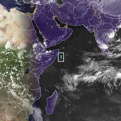 Mapping the Giants: What the Data Reveal (Image Credits: Wikimedia)