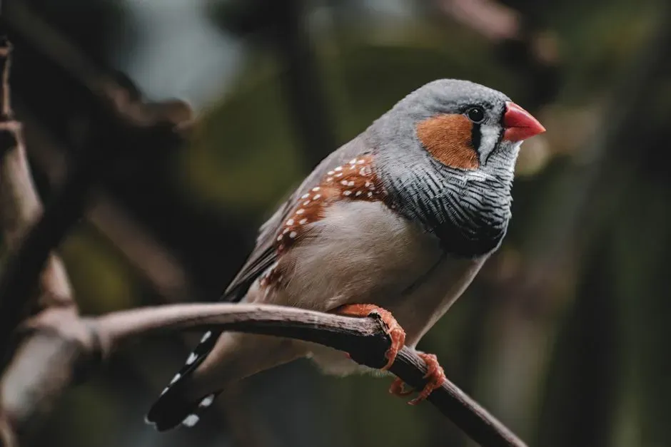 Symbol of Freedom, Restlessness, and the Urge to Change (Image Credits: Pexels)