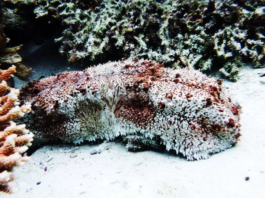 9. Sea Cucumber (Deep-Sea Species): Recycling the Ocean’s Leftovers (Image Credits: Pexels)