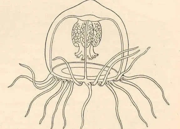 4. It Wasn’t Discovered Yesterday – But It Took Time to Understand (Image Credits: Wikimedia)