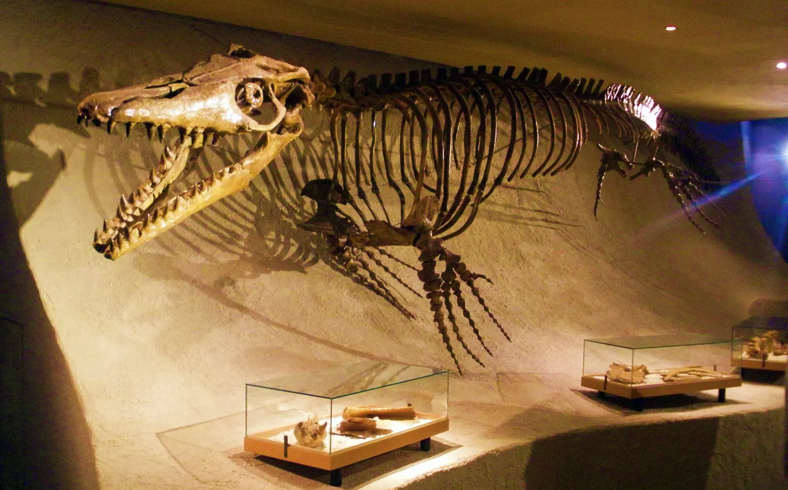 #5 - Mosasaurus: The Sea Dragon Built From Teeth and a Few Vertebrae (By Ghedoghedo, CC BY-SA 3.0)