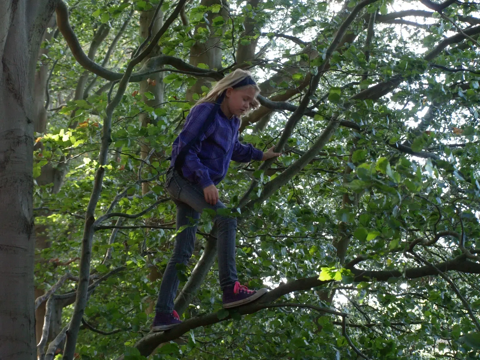 Risk, Resilience, and the Confidence Built Outside (Tree Girl, CC BY 2.0)