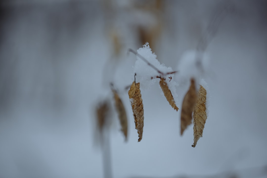 Call to Action (Image Credits: Unsplash)