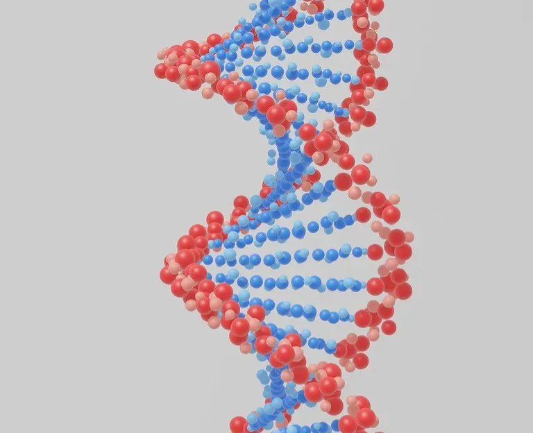 Rewriting Aging: Gene Therapy and Cellular Reprogramming (Image Credits: Pixabay)