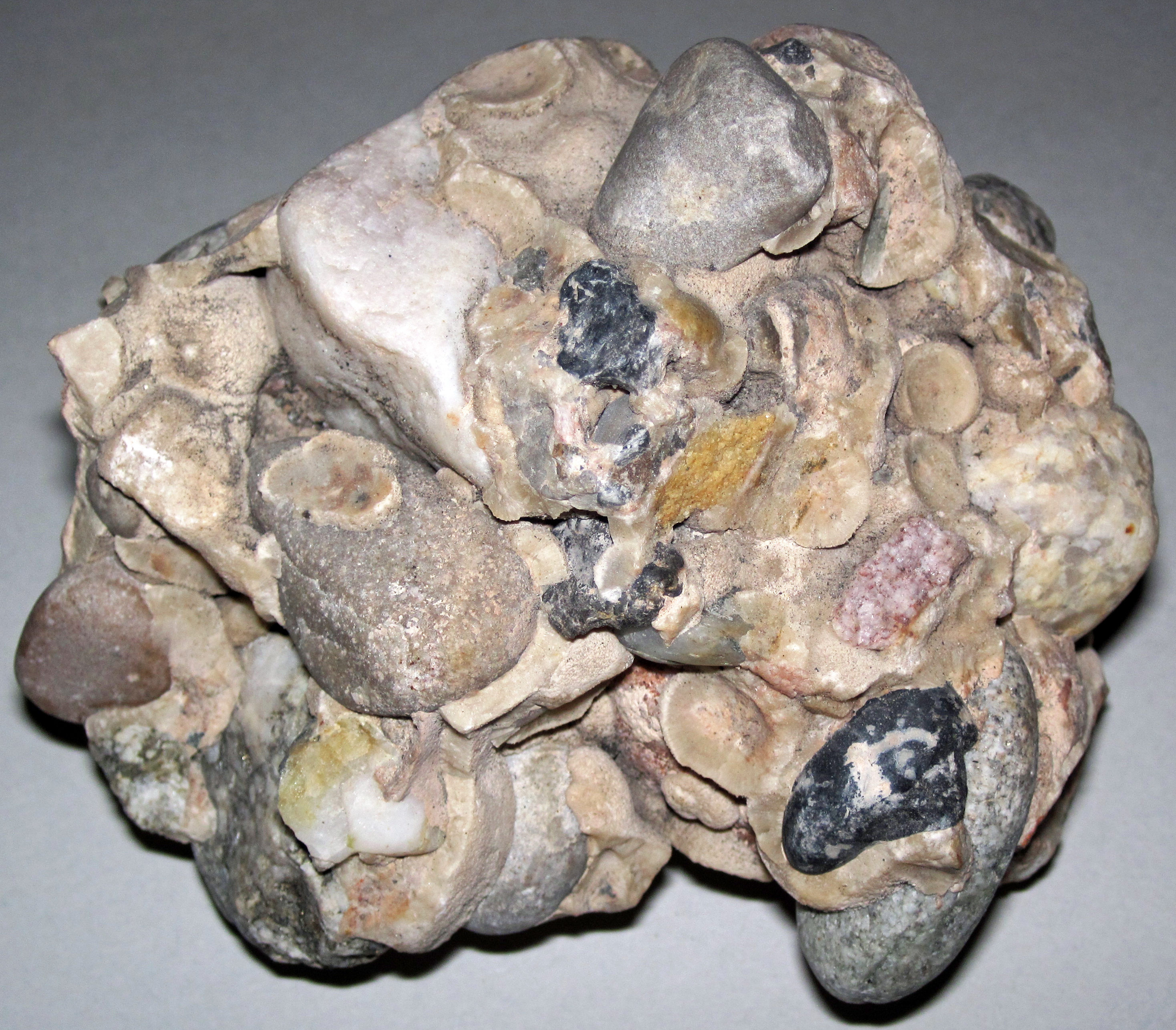 Chemical Reactions That Defy Time (Image Credits: Wikimedia)