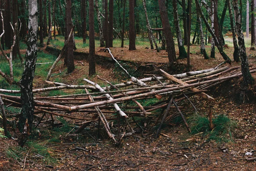 Why the Tradition Endures Today (Image Credits: Unsplash)