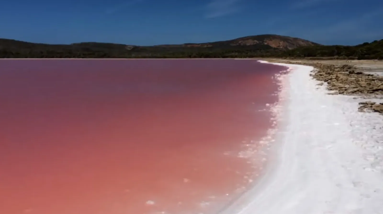 Seasonal Pink Lakes in Western Australia: Microbes, Salt and Sunlight (By PruneCron, CC0)