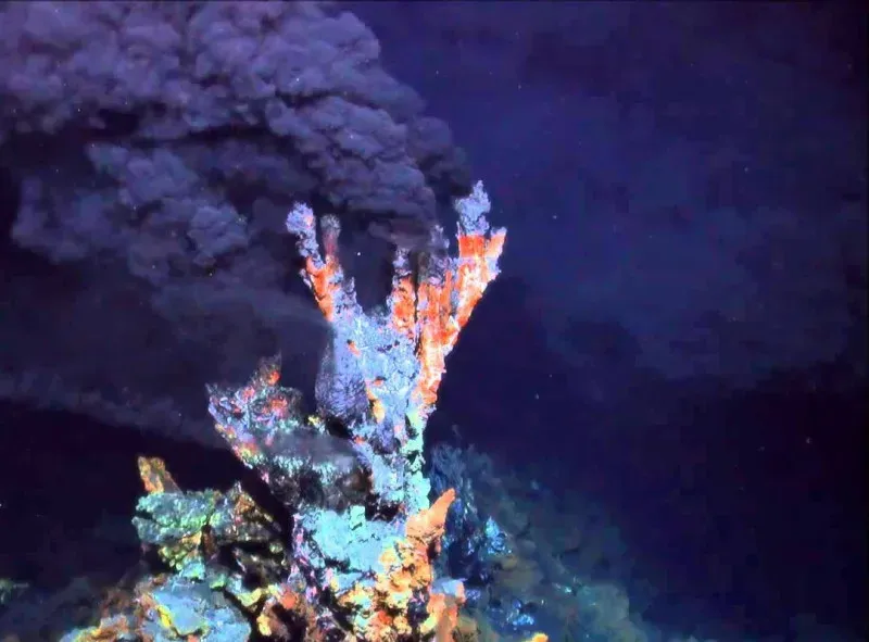 Hydrothermal Vents: Smokestacks at the Bottom of the World (Image Credits: Flickr)