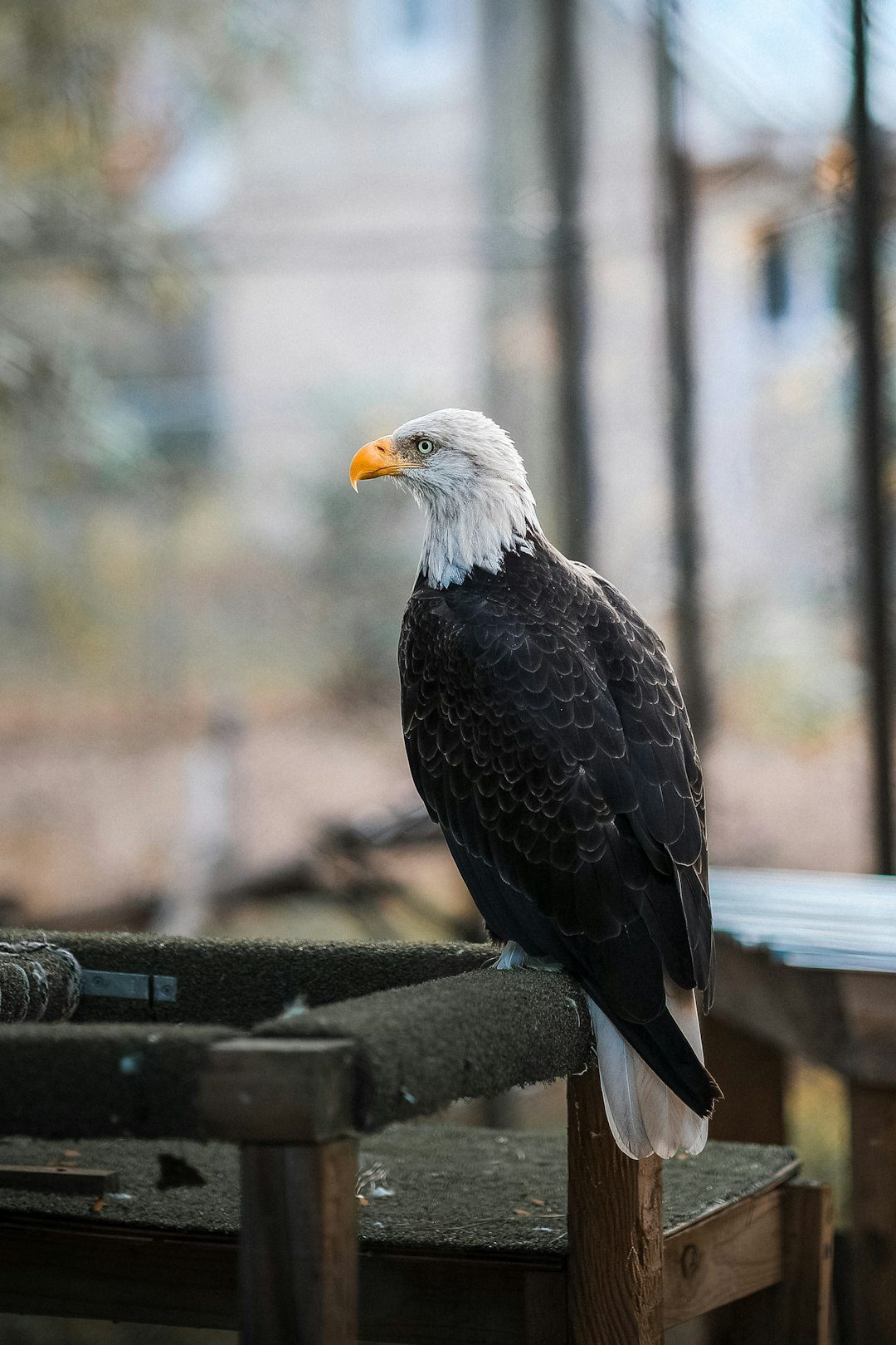 Why It Matters: Beyond Horoscopes and Hashtags (Image Credits: Unsplash)