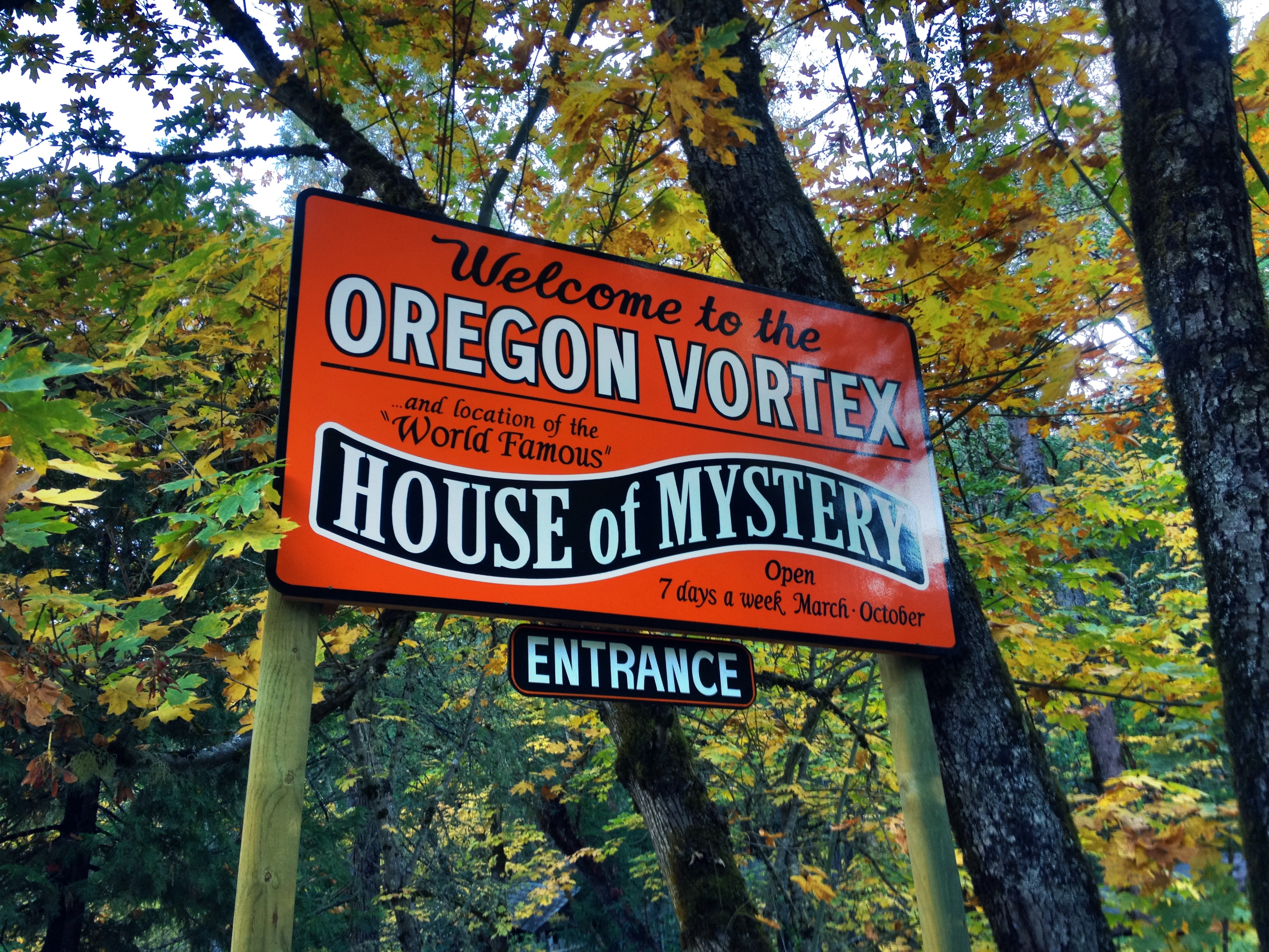 The Oregon Vortex near Gold Hill, Oregon (Image Credits: Wikimedia)