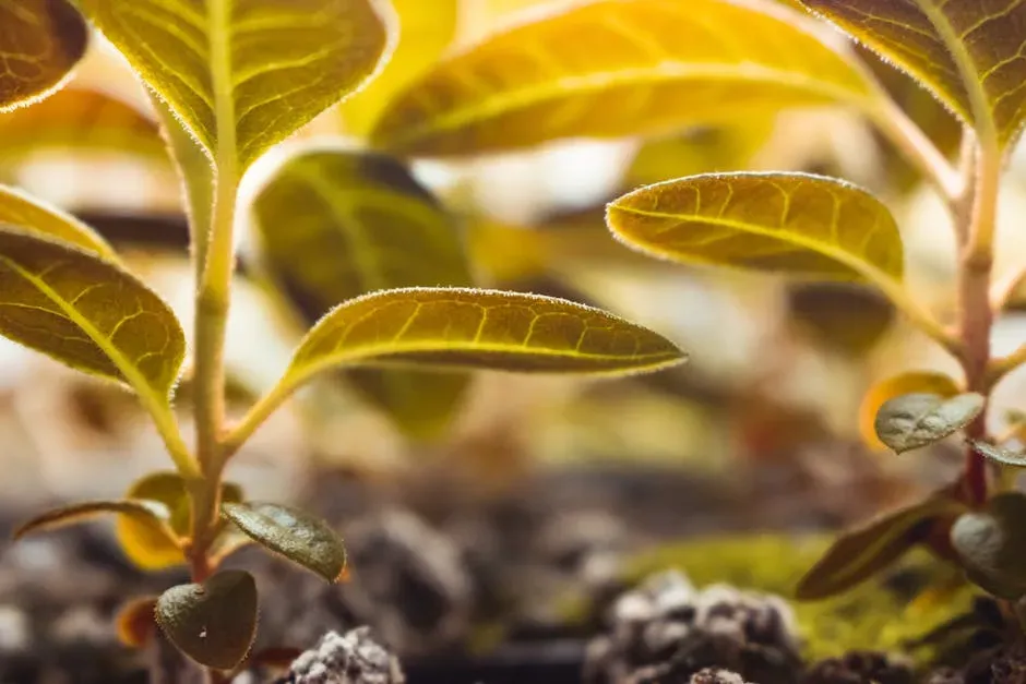 1. Scented SOS: Warning Signals Through the Air (Image Credits: Pexels)