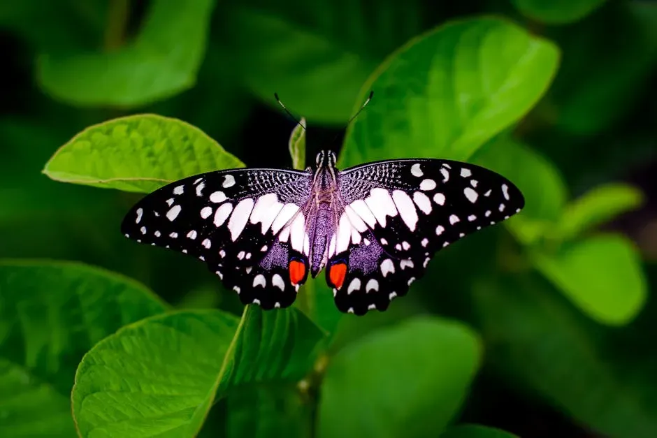 The Strange Science Behind the Butterfly Effect (Image Credits: Pexels)