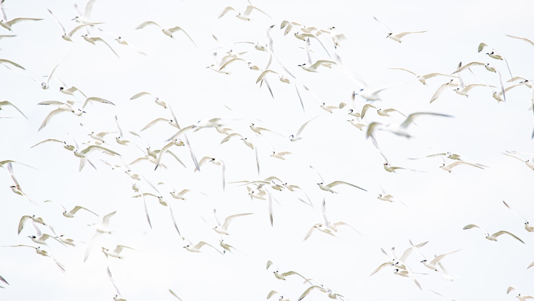 The Hidden Clues (Image Credits: Unsplash)