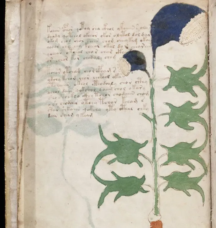 #3 - The Voynich Manuscript Inks That Solved One Mystery, Not the Big One (Image Credits: Flickr)