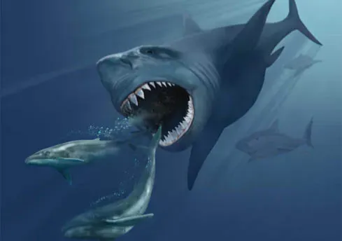 It Hunted Whales Like an Apex Ocean Serial Killer (Image Credits: Wikimedia)