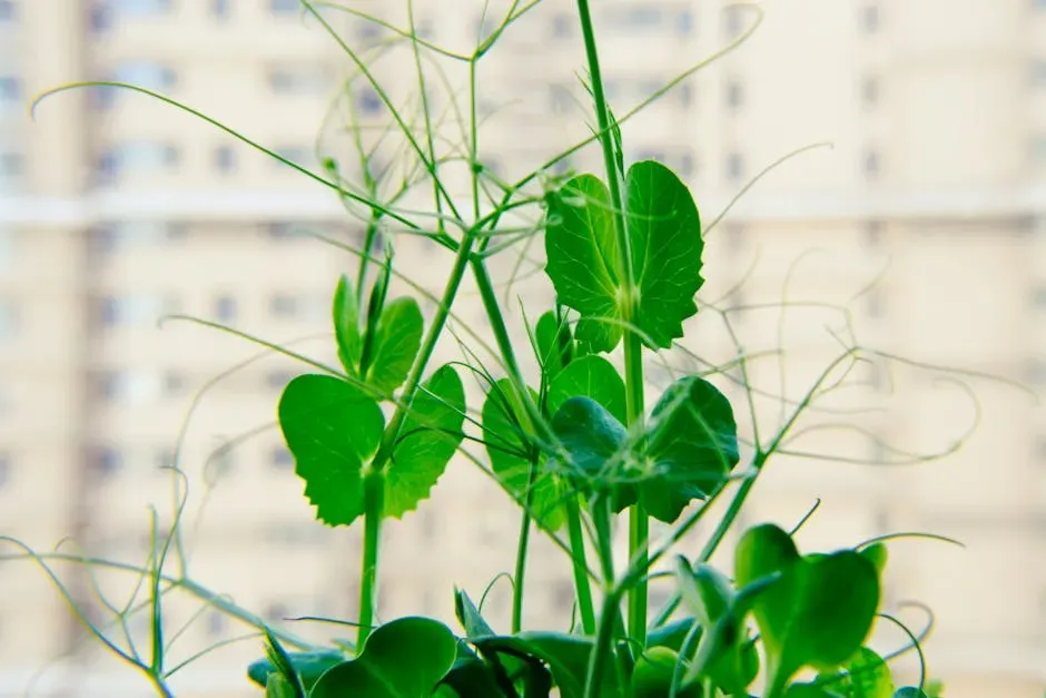 8. Mendelian Genetics (Image Credits: Pexels)