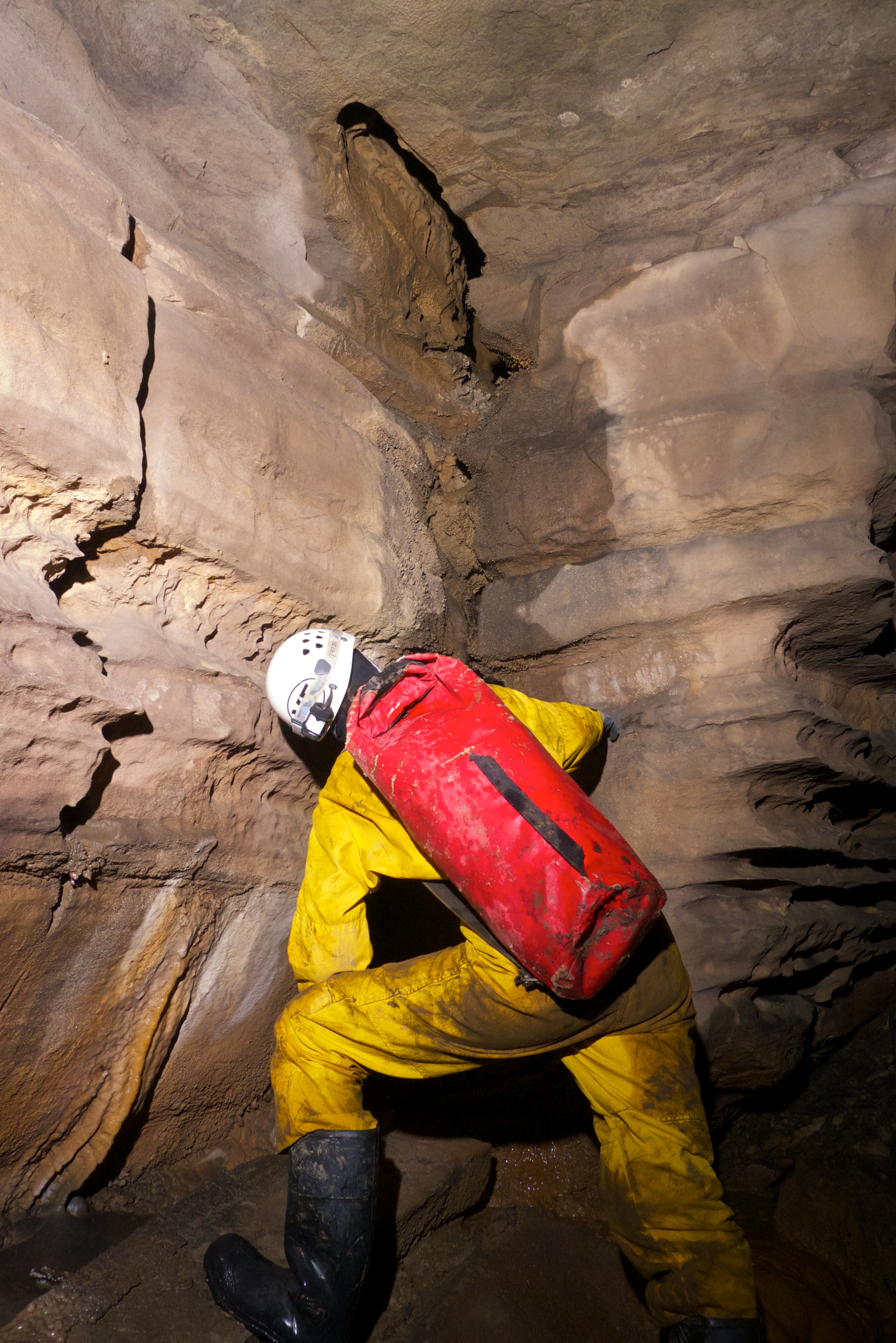 Why It Matters (Image Credits: Wikimedia)