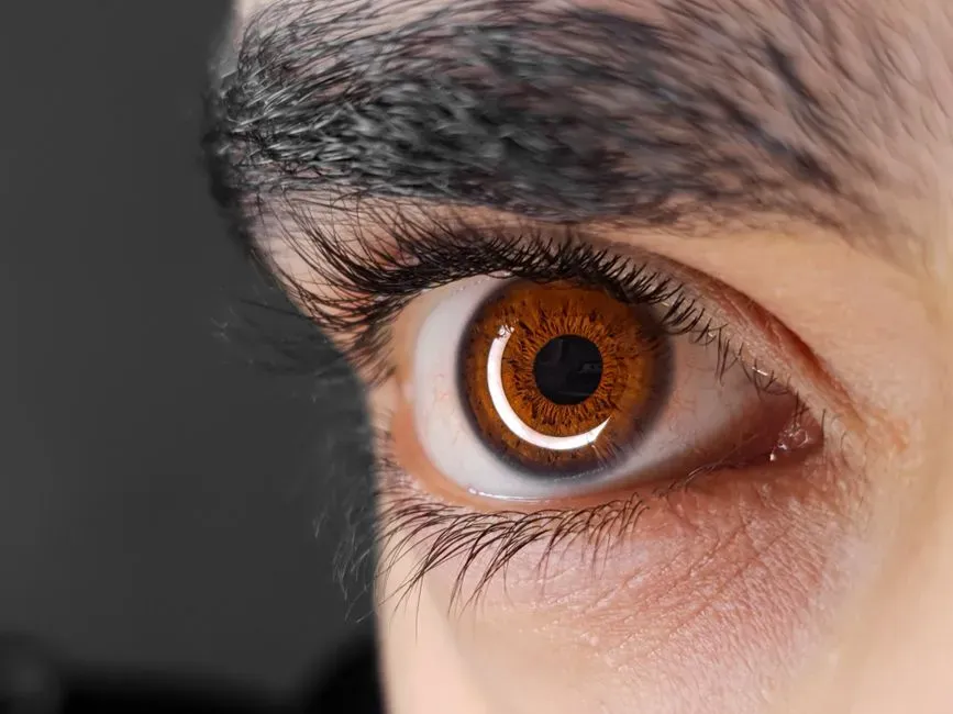 Central Blind Spot In The Dark: Why You See Better “Out Of The Corner Of Your Eye” (Image Credits: Pexels)