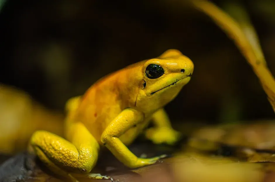 1. Galvani’s Dancing Frog Legs and the Birth of Bioelectricity (Image Credits: Pexels)
