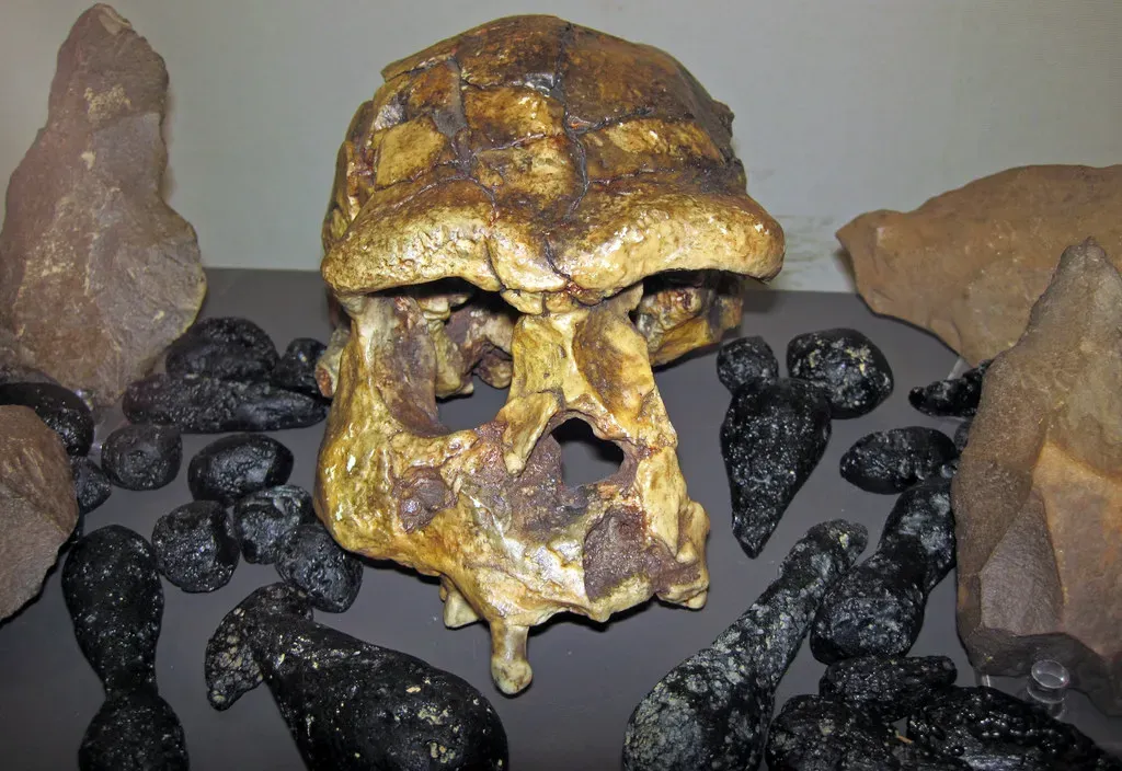 #15 - A 1.5-Million-Year-Old Face Doesn't Match the Skull It's Supposedly Attached To (James St. John, Flickr, CC BY 2.0)