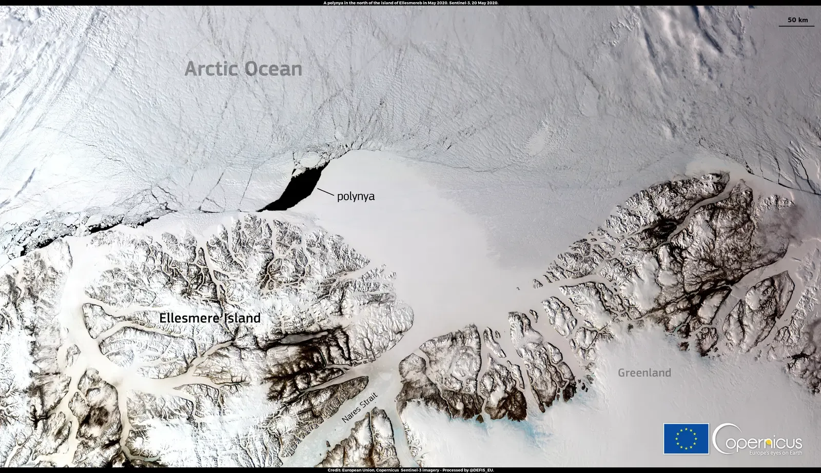 Under-Ice Oceans of the Arctic and Seasonal Polynyas (A Polynya in the Arctic Ocean in May 2020, Attribution)
