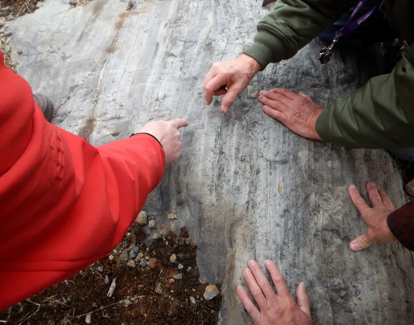 #11 - Statistical Overlap: When "Disagreement" Is Really Just Margin of Error (geoscience crowd sourcing, CC BY 2.0)