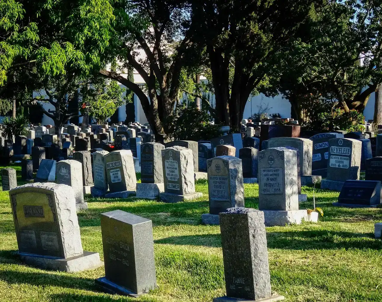 #12 - The LA Cemetery That Stopped a Crew Cold (Image Credits: Pixabay)