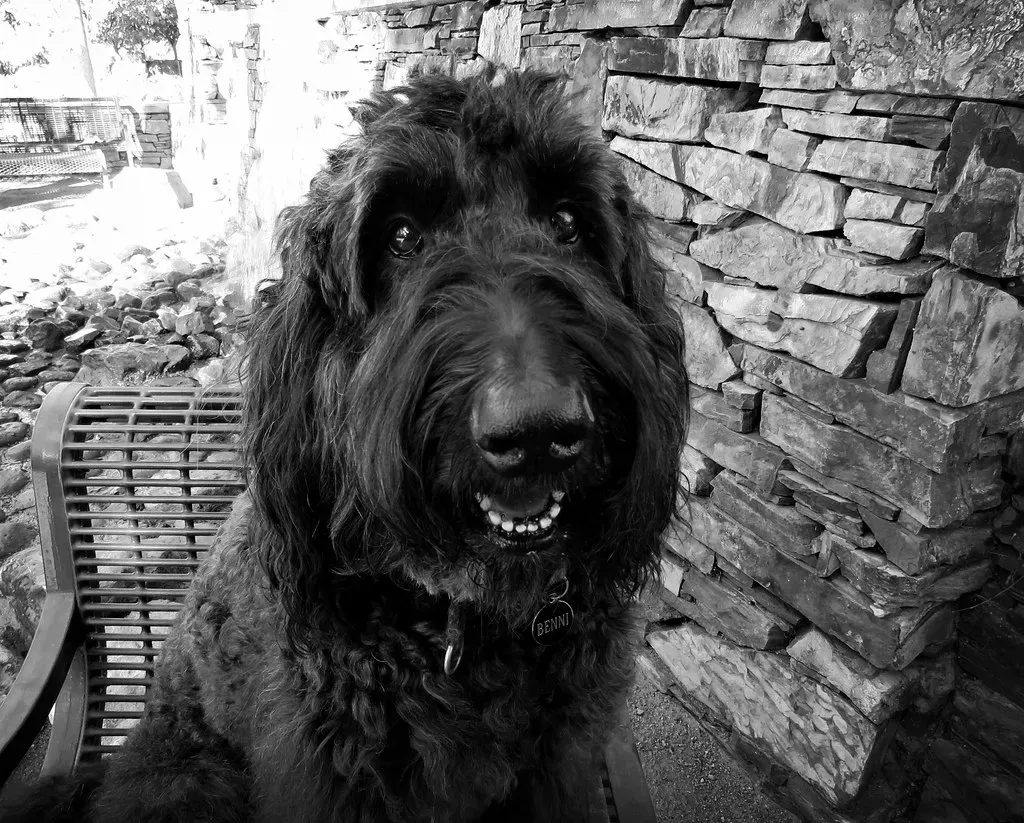 Reading Your Face Like an Open Book (Image Credits: Flickr)