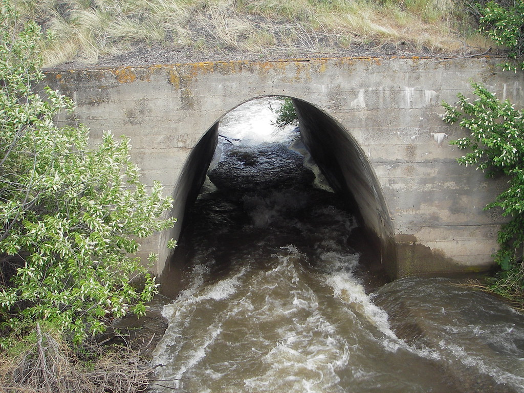 Enhanced Culvert Systems Create Underground Highways (Image Credits: Flickr)