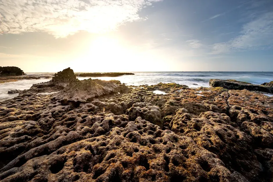 Why the Great Oxidation Event Matters Today (Image Credits: Pexels)