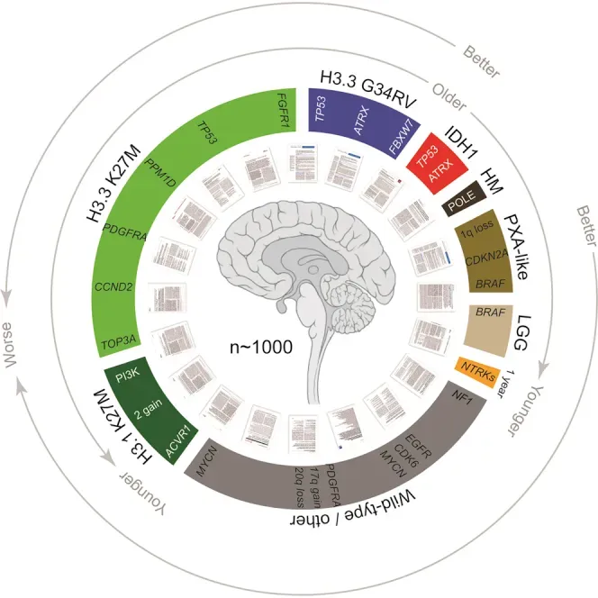 The Future Landscape: Next-Generation Genomics and Global Stories (Image Credits: Wikimedia)