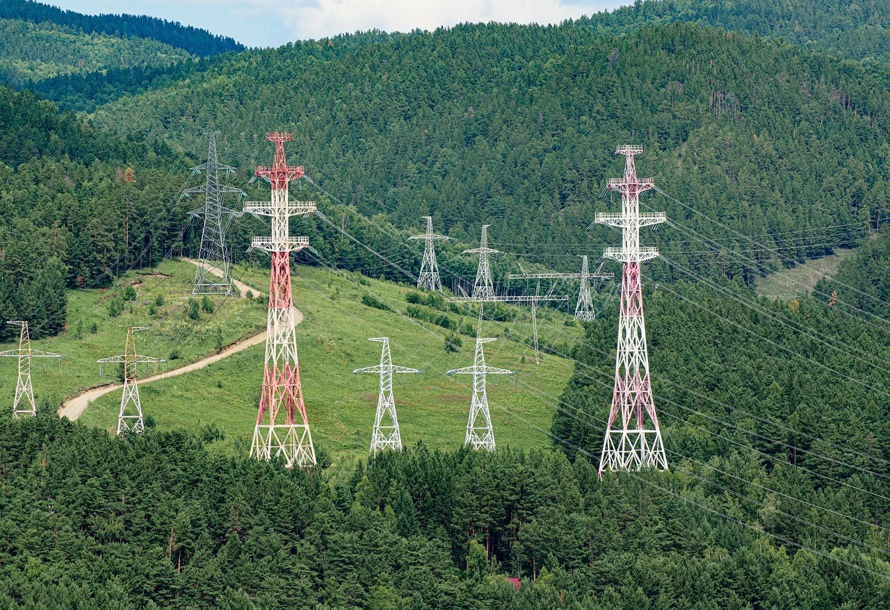 How Scientists Measure Forest (Image Credits: Pixabay)