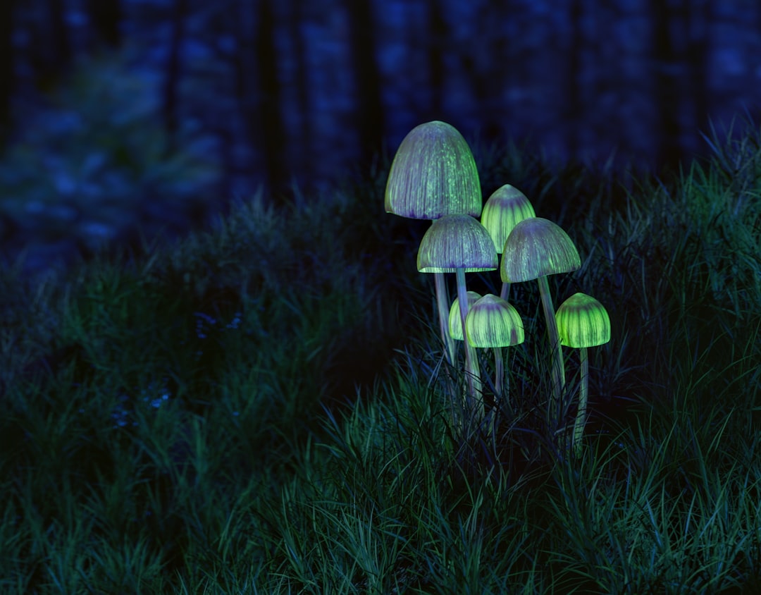 The Science Behind Fungal Light Production (Image Credits: Unsplash)