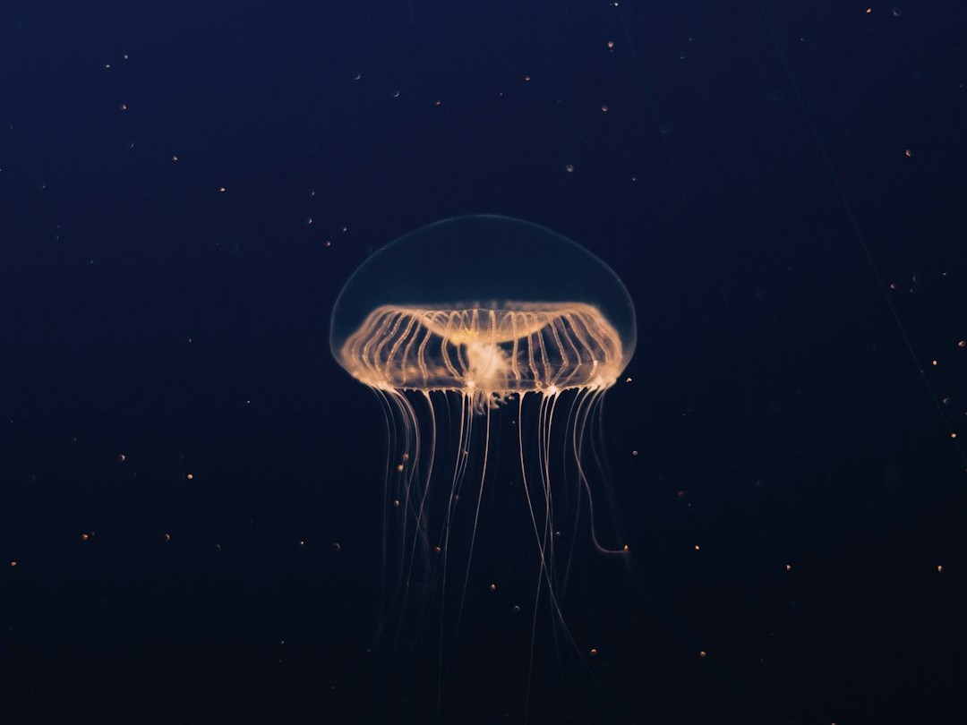 Global Perspectives (Image Credits: Unsplash)