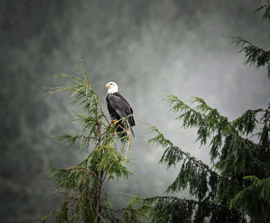 How You Can Help Today (Image Credits: Unsplash)