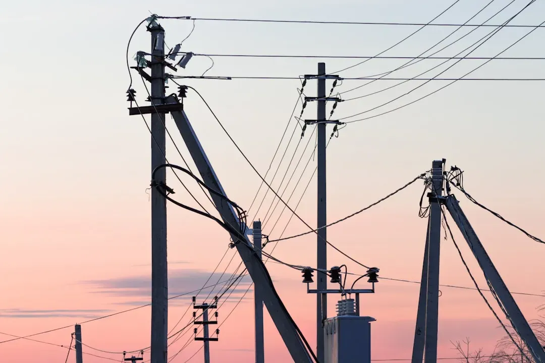 7. Power Lines And Collisions Show You How Modern Life Gets In The Way (Image Credits: Unsplash)