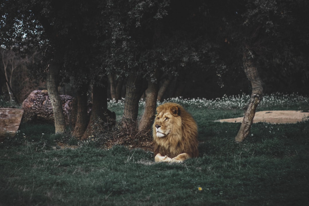 The Price of Solitude (Image Credits: Unsplash)