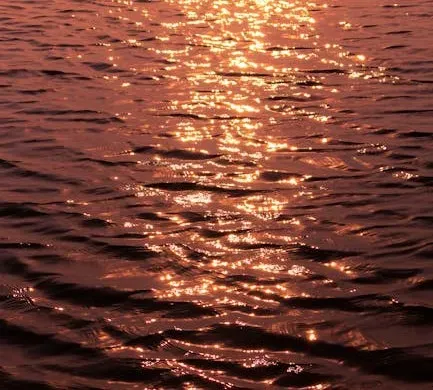 Why rivers change colour in the first place (and why this is different) (Image Credits: Pexels)