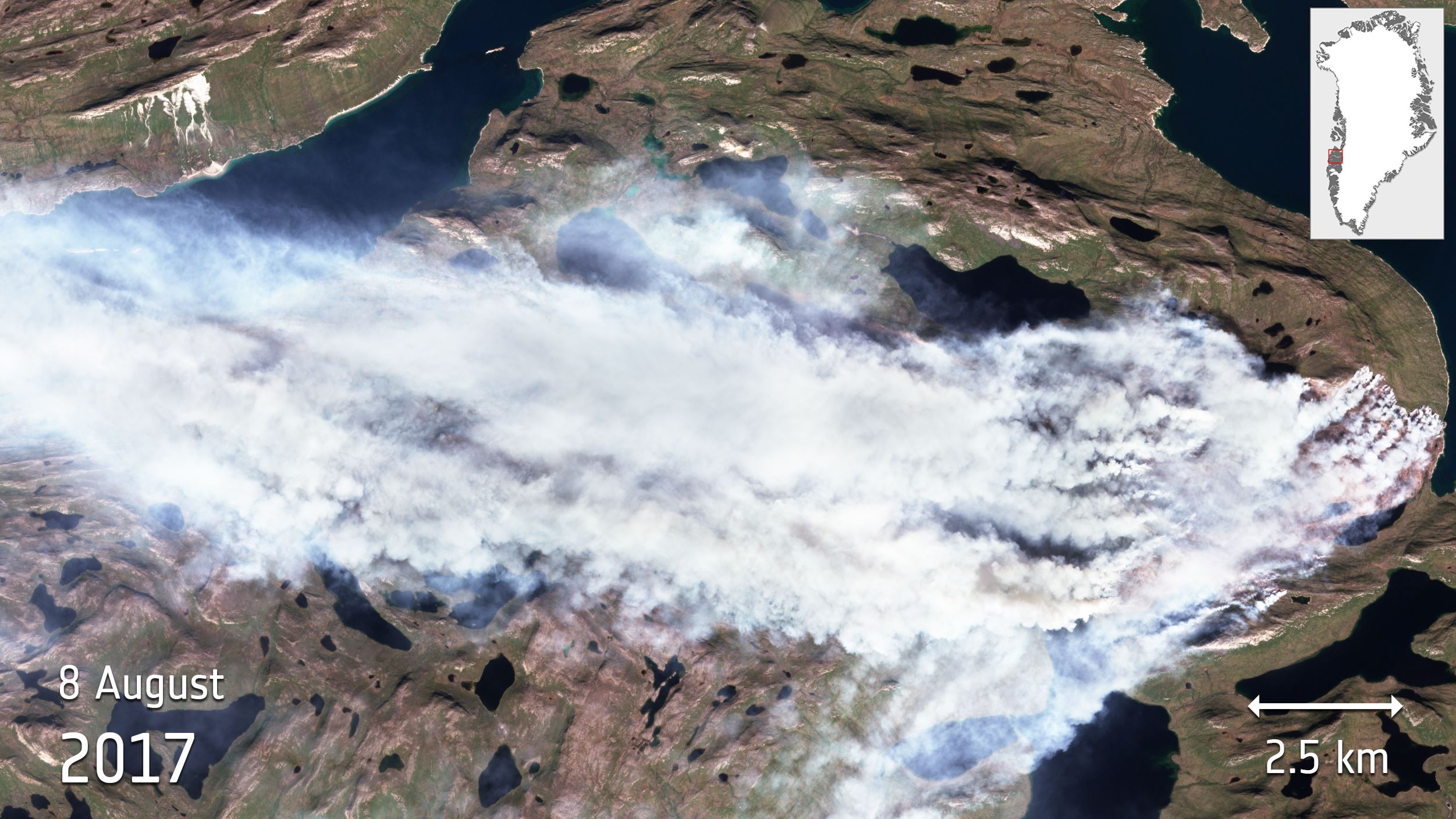 How You Can Help (Image Credits: Wikimedia)