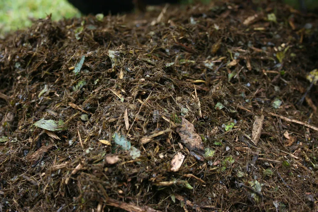 #3 - Mulch to Lock In Moisture and Choke Out Weeds (mezuni, Flickr, CC BY 2.0)