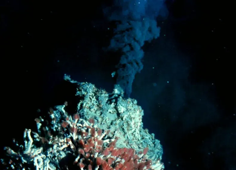 6. Hydrothermal Vents Support Ecosystems That Don’t Need Sunlight (Image Credits: Flickr)