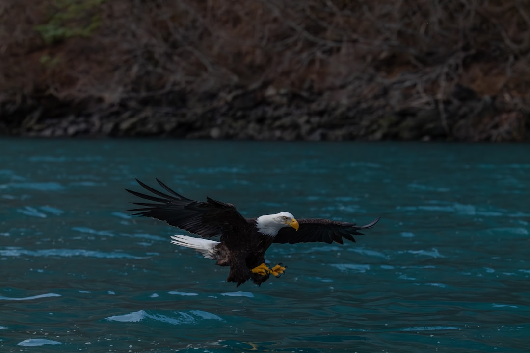 Maryland's Population Explosion (Image Credits: Unsplash)