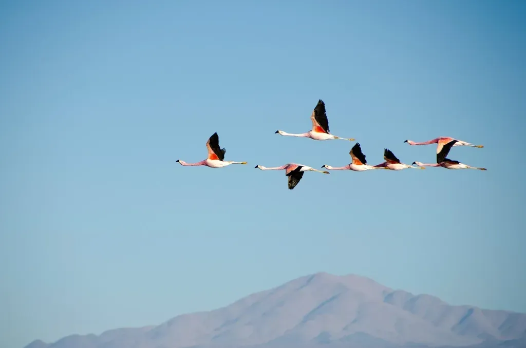 The Hidden Clues: Invisible Maps in the Sky, Sea, and Earth (Image Credits: Rawpixel)