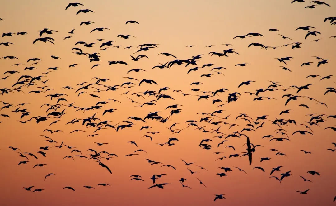 Time and Rhythm: Senses Tuned to Patterns We Don’t Notice (Image Credits: Unsplash)