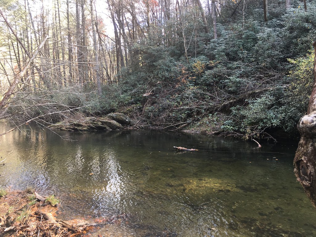 Seasonal Patterns and Daily Rhythms in Forest (Image Credits: Flickr)