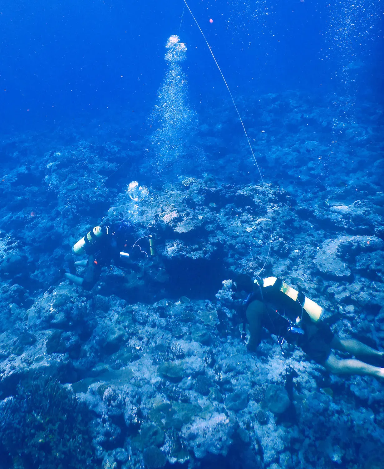 The Future Landscape of Deep Listening (Image Credits: Wikimedia)