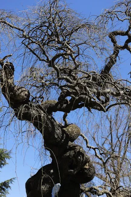 Genetics and Plant Physiology: Are Some Trees “Born Crooked”? (Image Credits: Pexels)